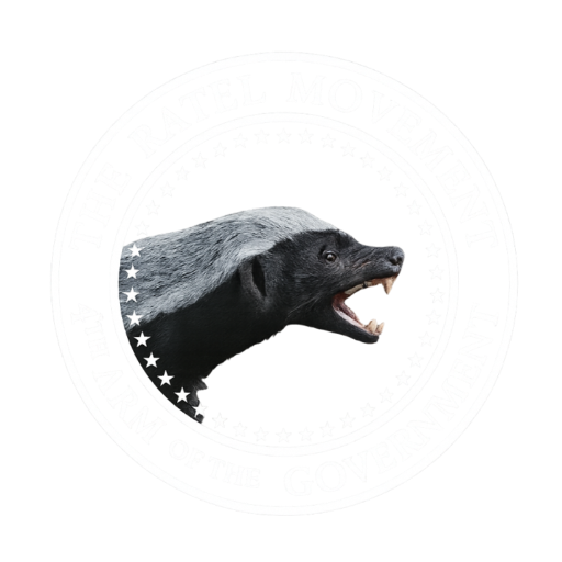 The Ratel Movement - 4th Arm of Government